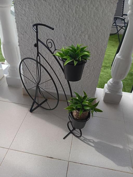 In La Marina With Cozy Garden And Private Solarium Сasa de vacaciones San Fulgencio