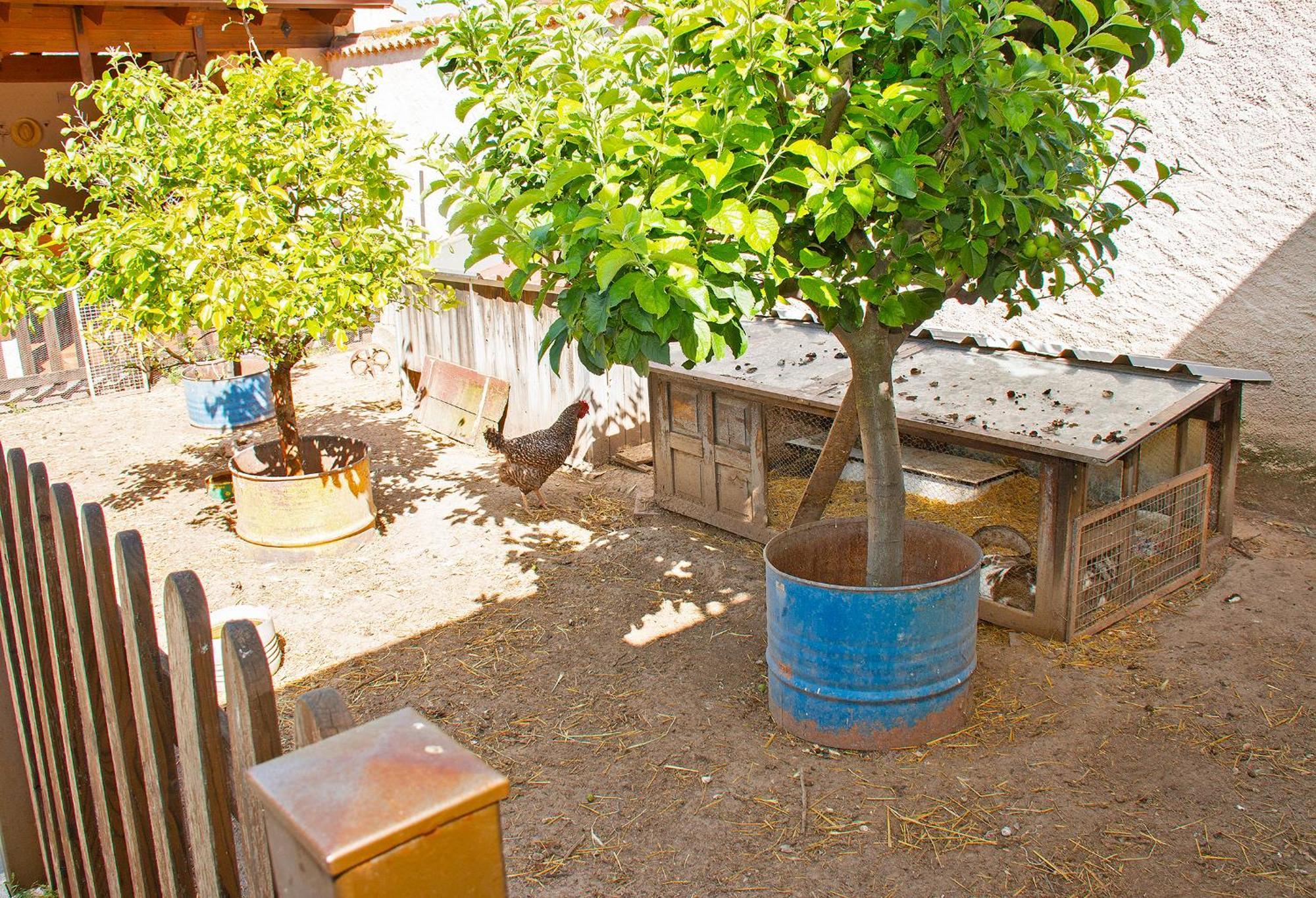Сasa de vacaciones Casa Mariano Turégano
