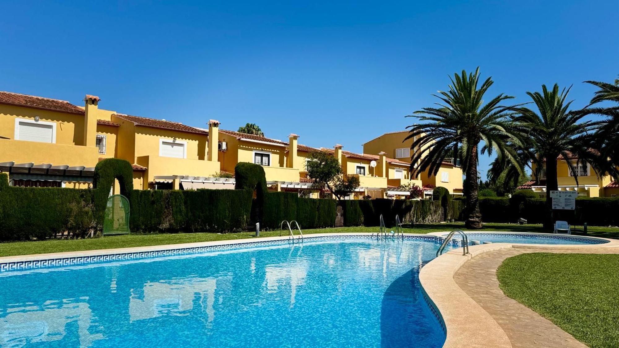 Datiler Vybdenia Dénia