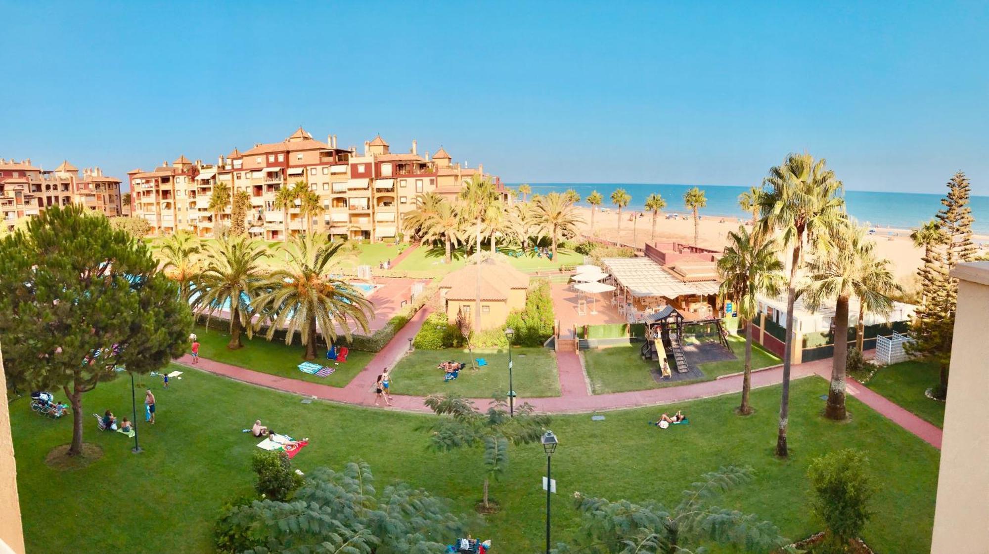 Alcaudon Isla Canela