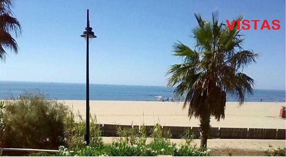 Alcaudon * Isla Canela