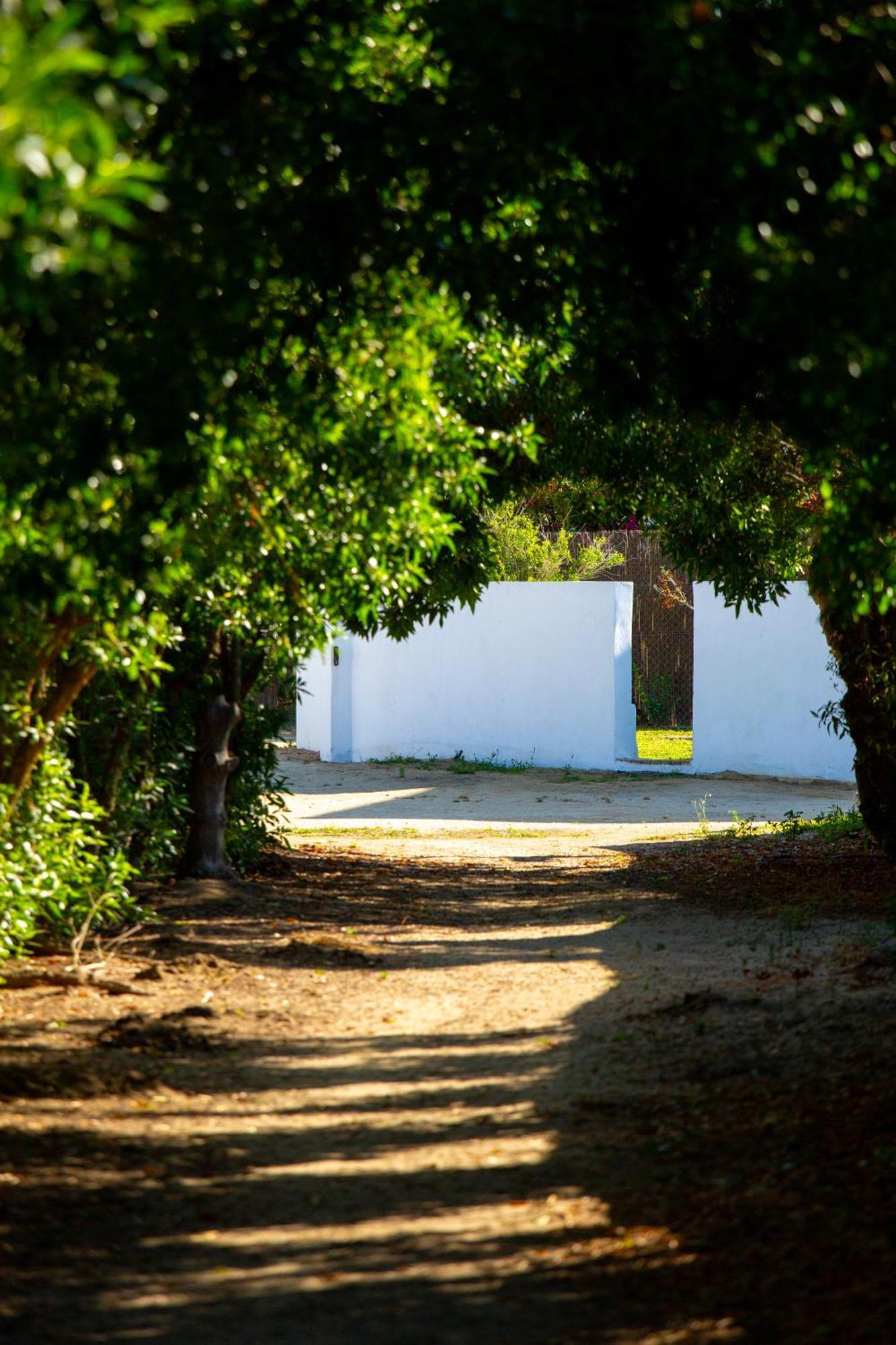 Casara Seis O Casara Siete - Tu Casa A 100m De La Playa De *
