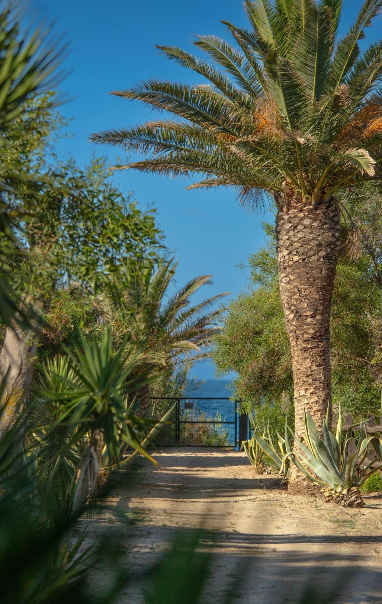 Casara Seis O Casara Siete - Tu Casa A 100m De La Playa De Zahora