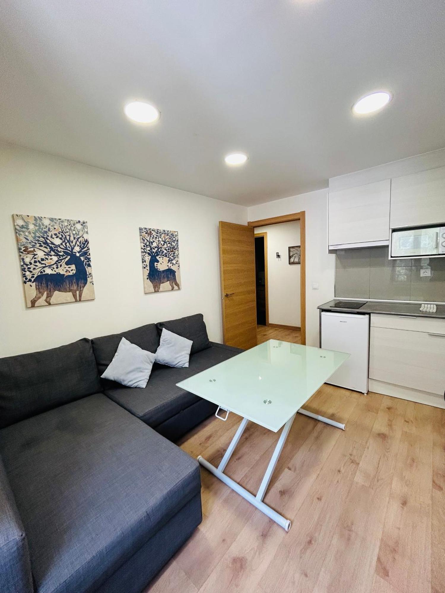 Apartahotel Apartahotel Canfranc Canfranc