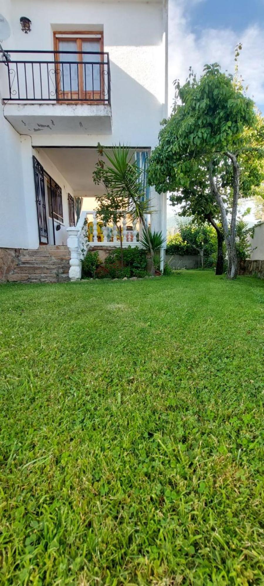 La Lechuza Blanca