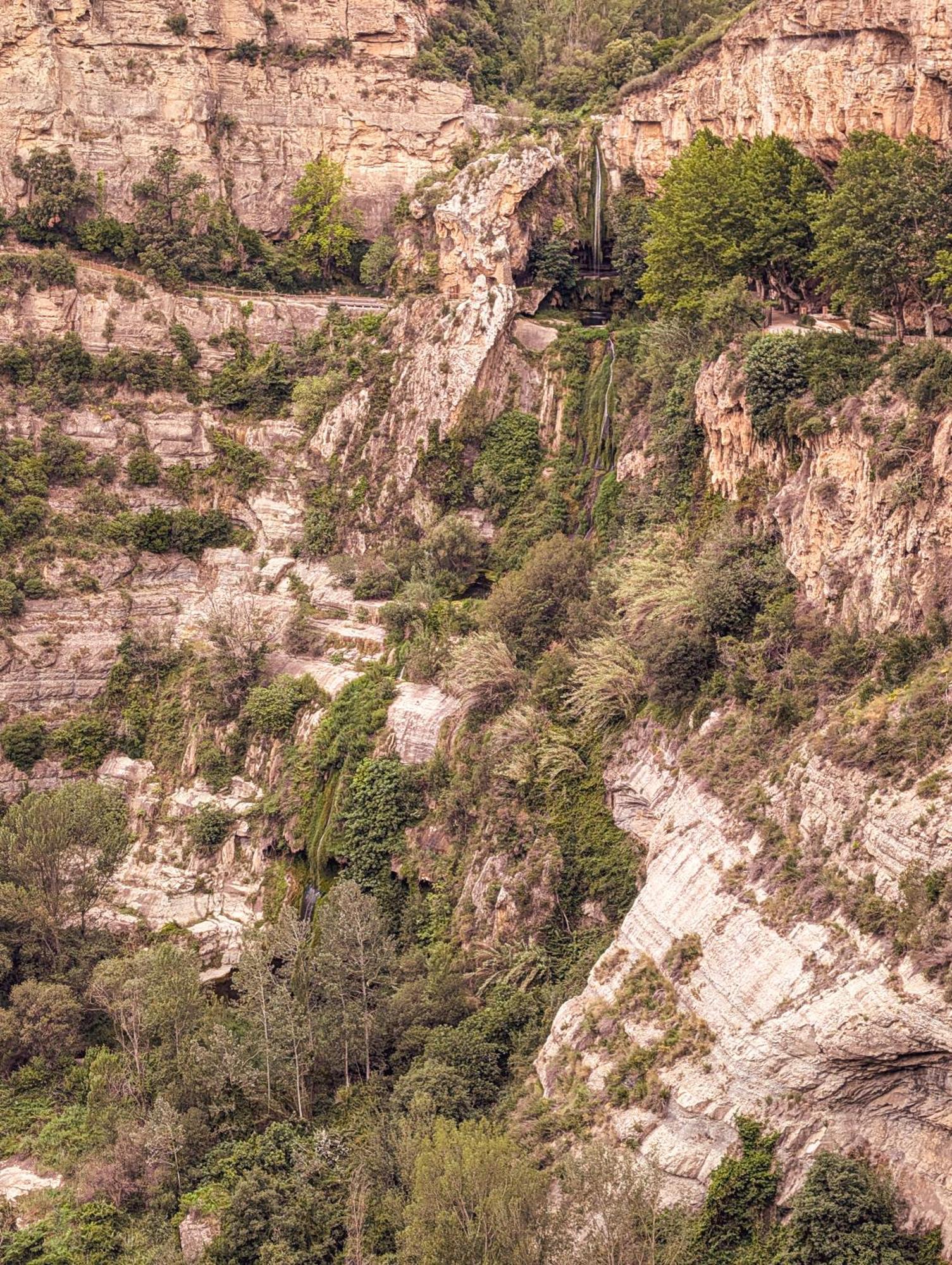 Aranetxea * Bigues I Riells