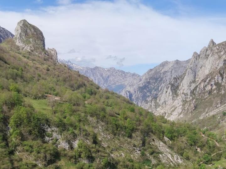 La Casina De De Cabrales Dentro Del Parque Nacional Picos De Europa Сasa de vacaciones