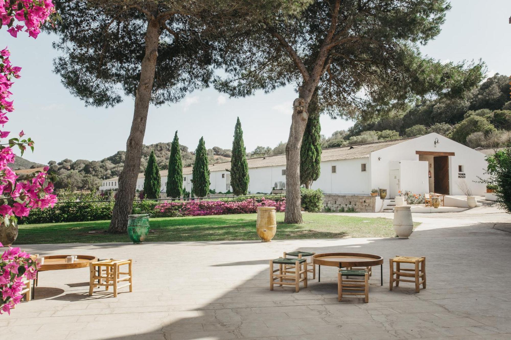 Rural Sant Patrici (adults Only) Ferreries