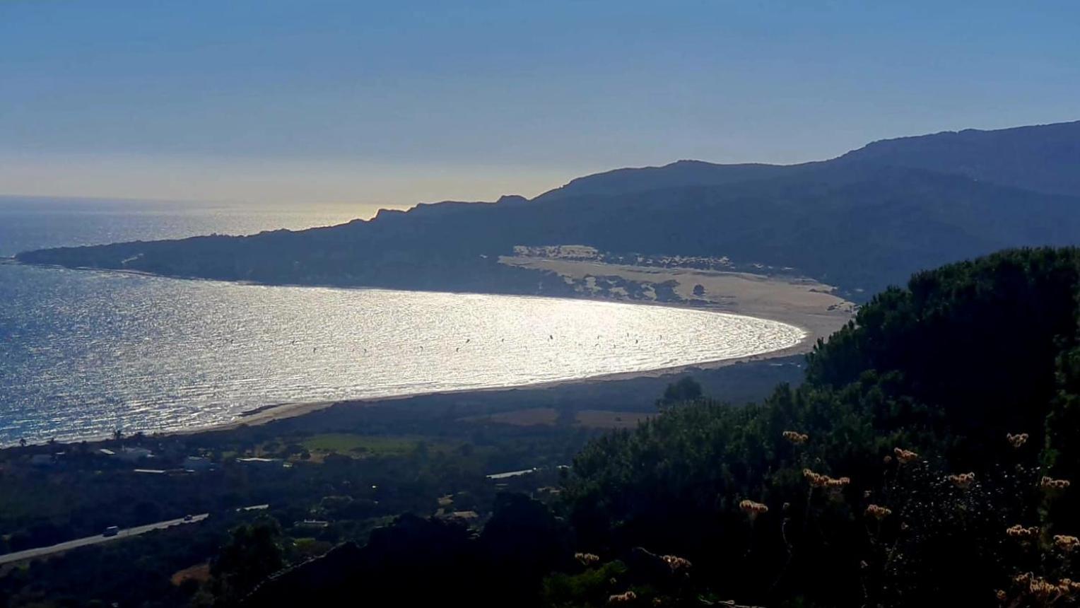 El Asturiano