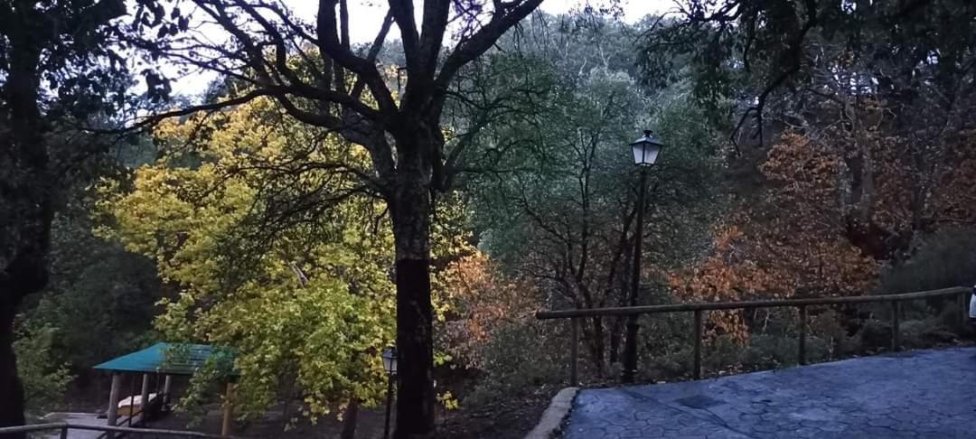 El Viejo Castano - Valle Del Genal Country house