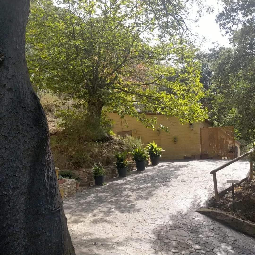 Country house El Viejo Castano - Valle Del Genal *