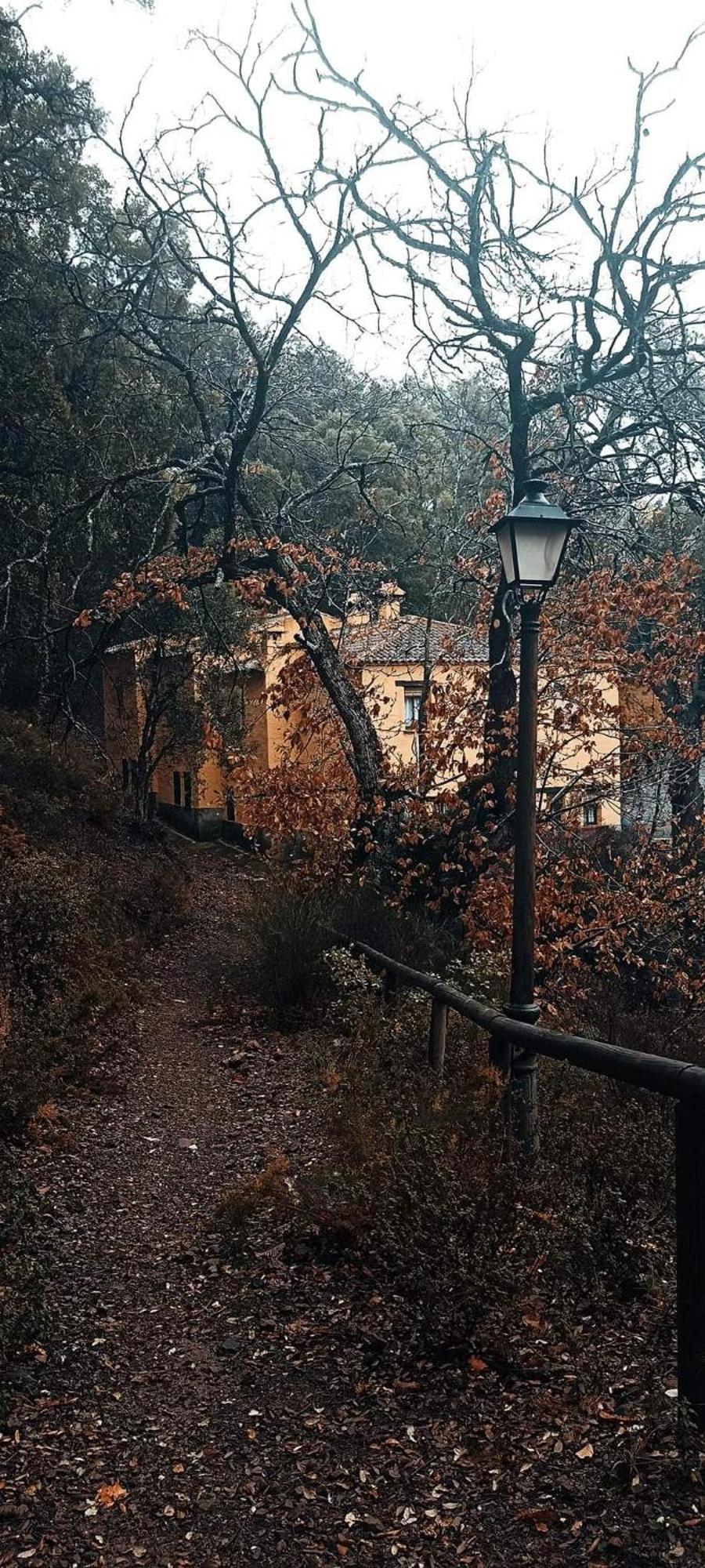 Country house El Viejo Castano - Valle Del Genal *
