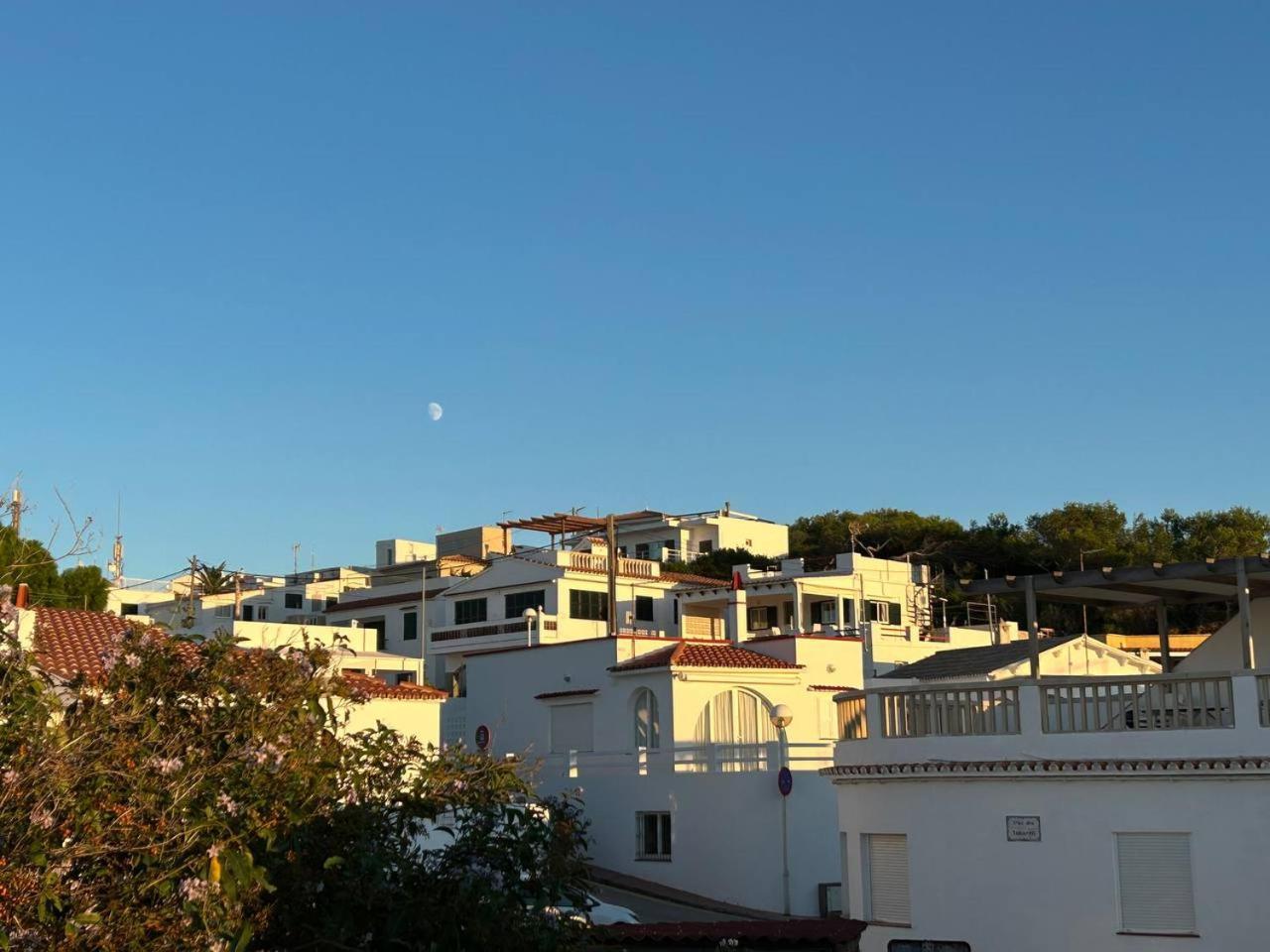 Apartment Lamorino