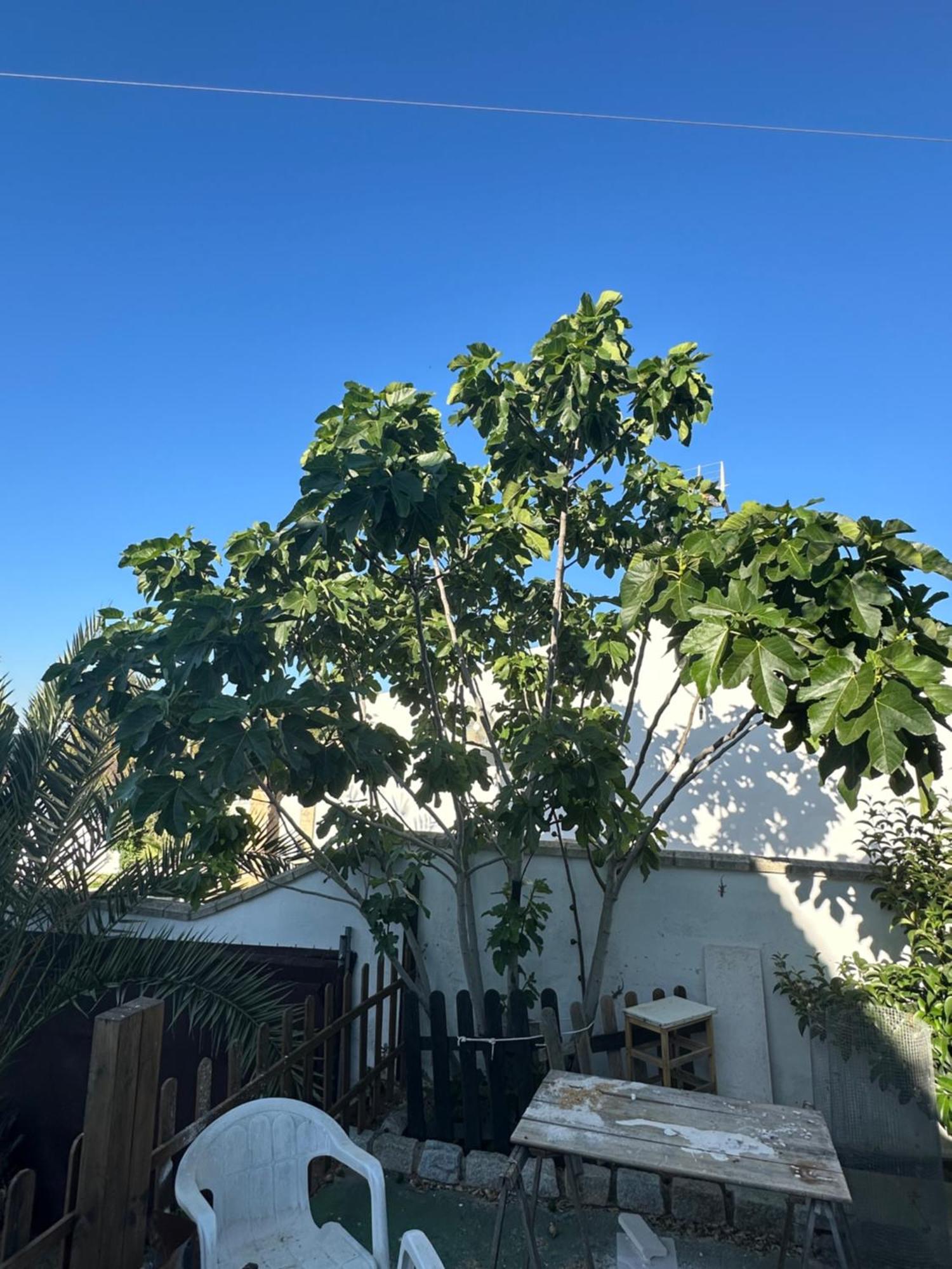 Paraiso De La Luz 7 Bedrooms, Swimming Pool & 4 Bathrooms Cadiz