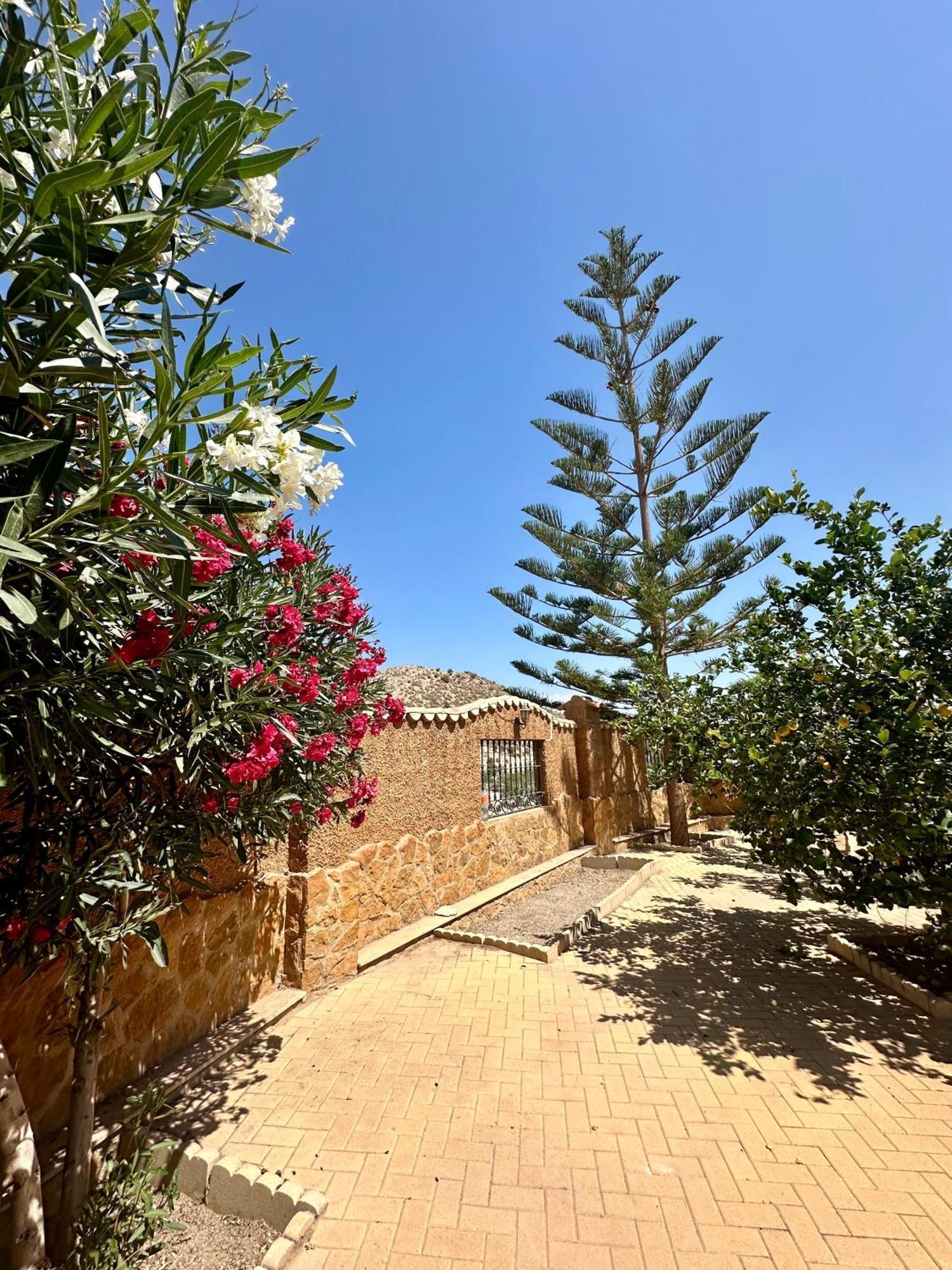 Holiday home El Pomelo Zurgena