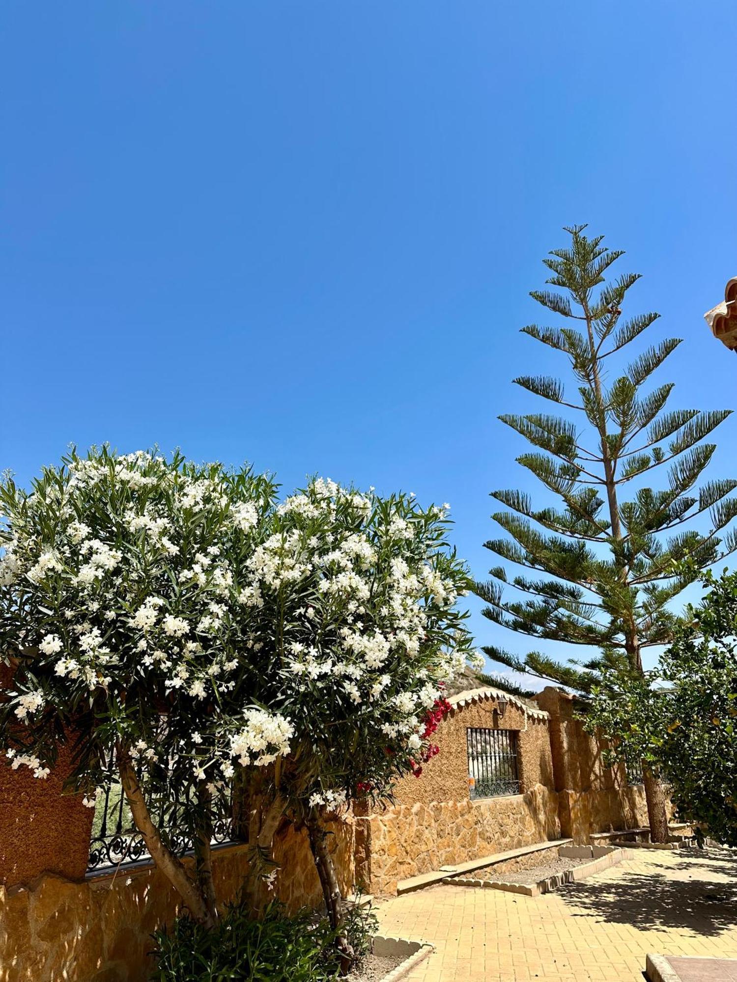 El Pomelo Holiday home