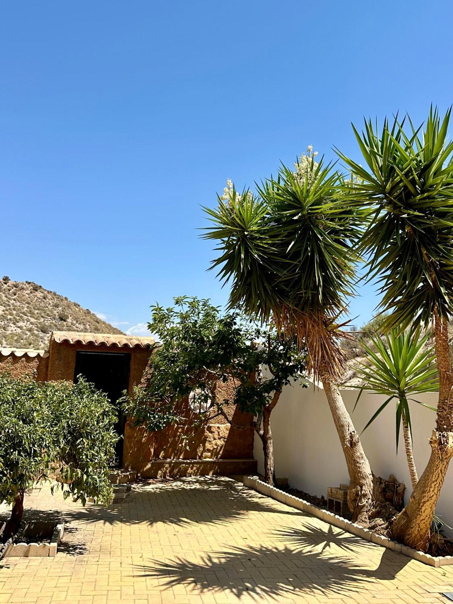 Holiday home El Pomelo