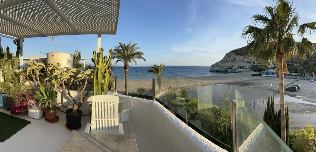 El Jardin Del Camaleon * Agua Amarga (Almeria)