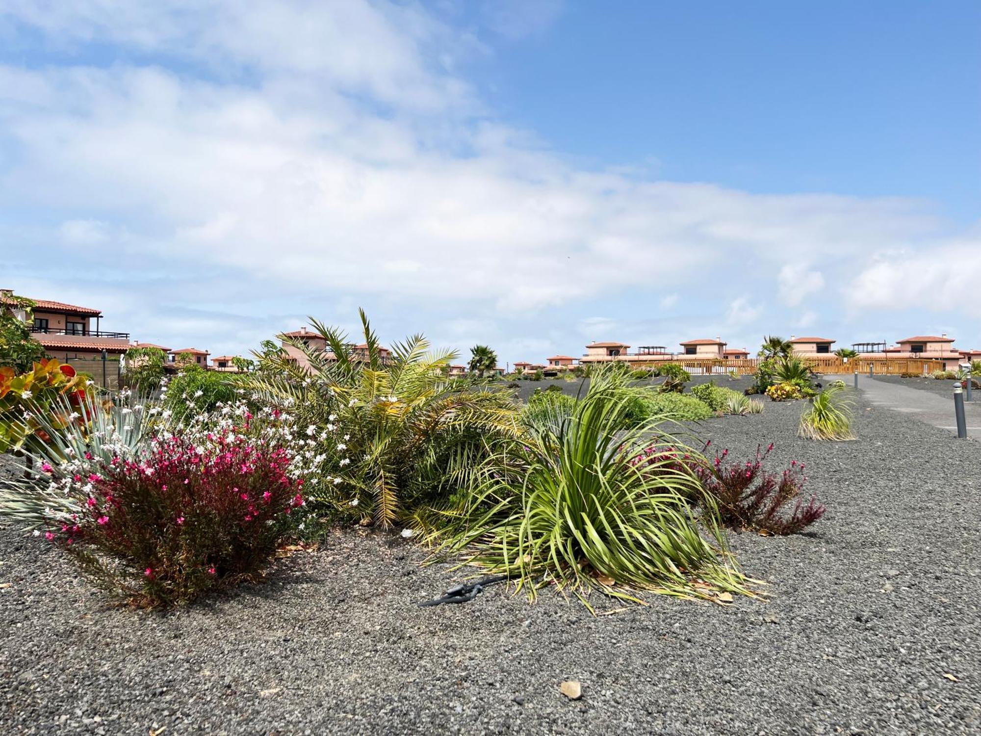 Сasa de vacaciones Casa Solayla Origomare