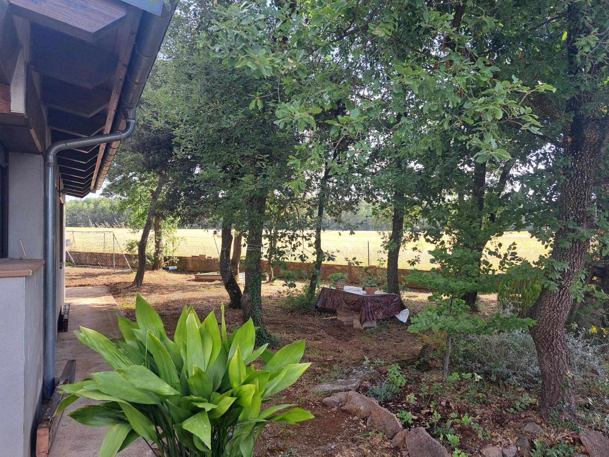 La Casa Del Pi *