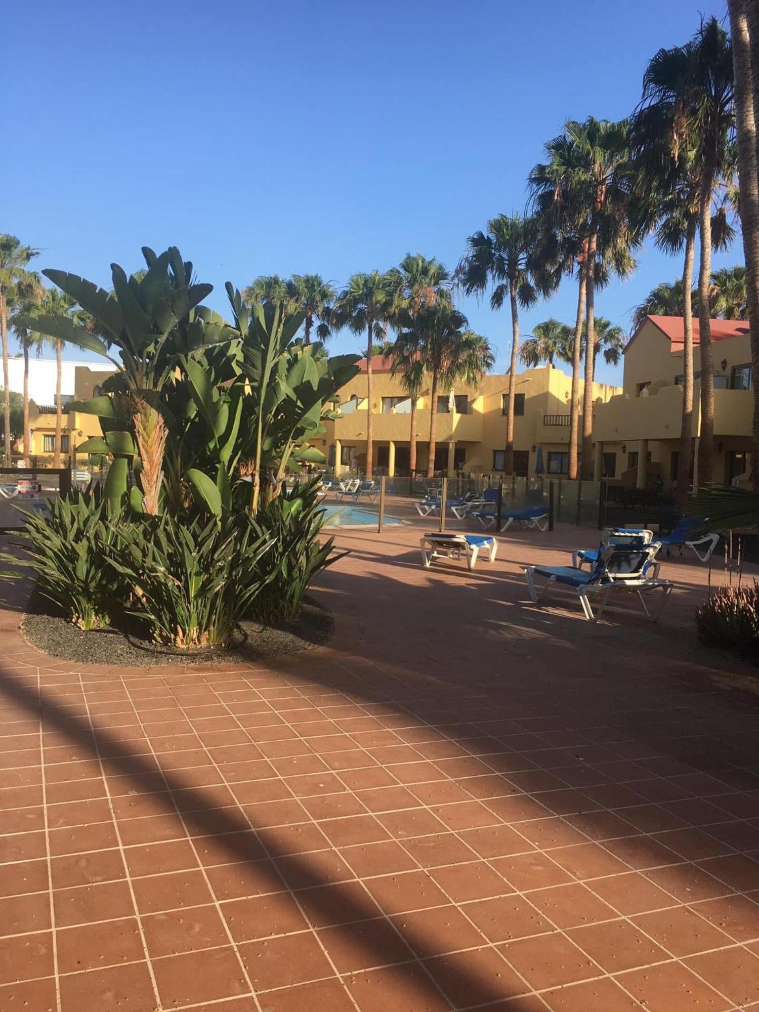 Apartamento Oasis Royal