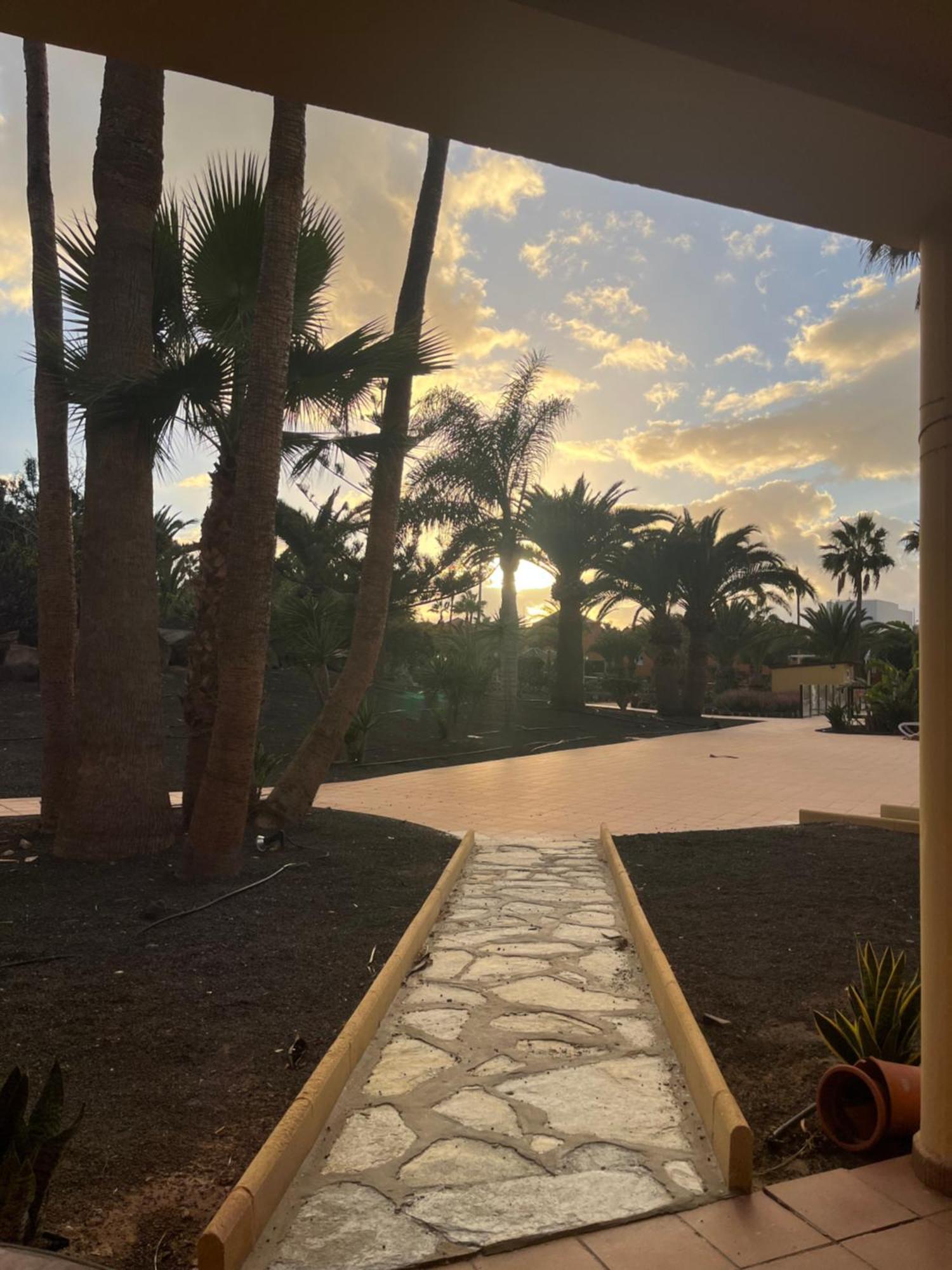 Apartamento Oasis Royal Corralejo