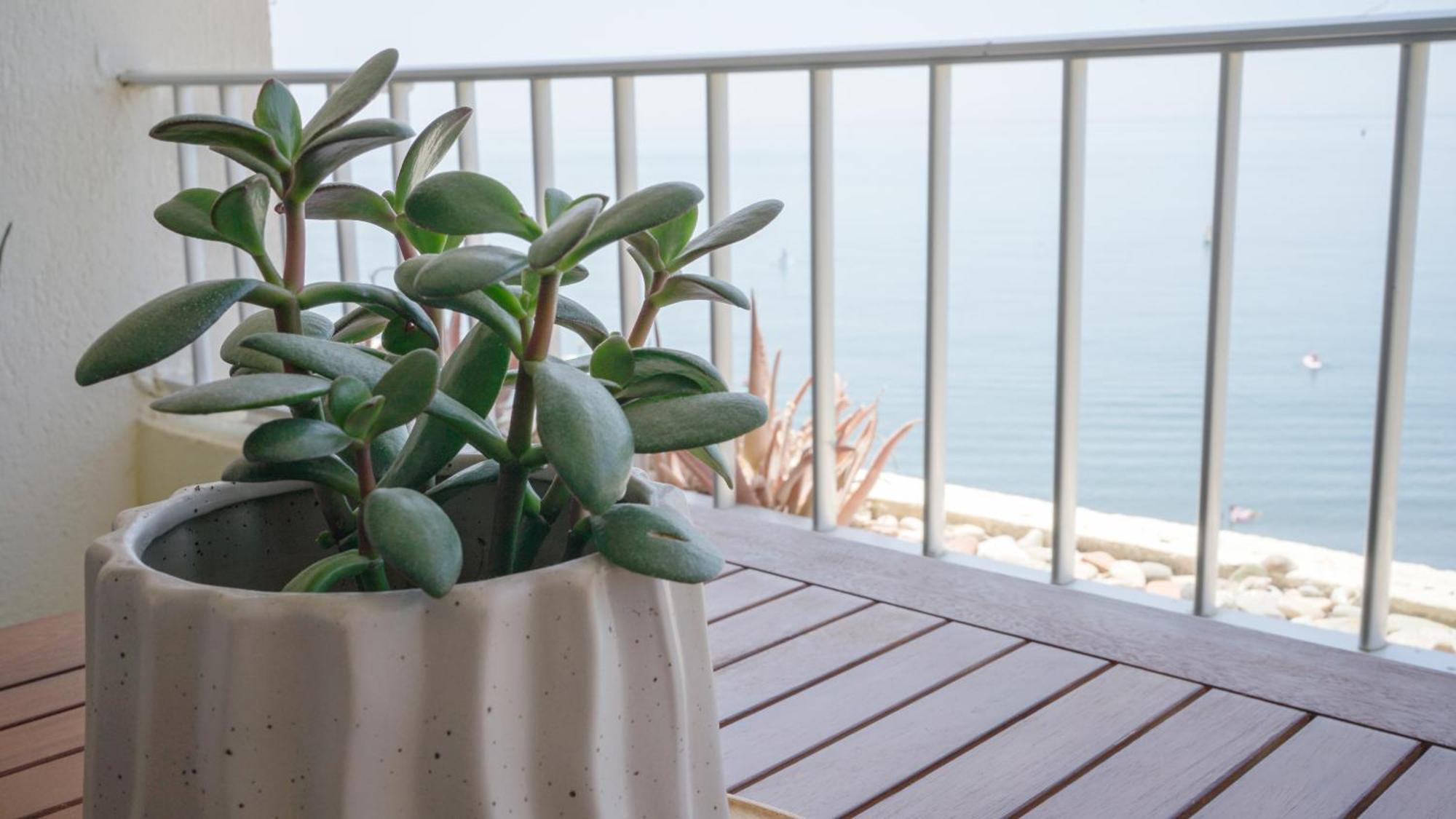 Apartamento Brisa Del Mar