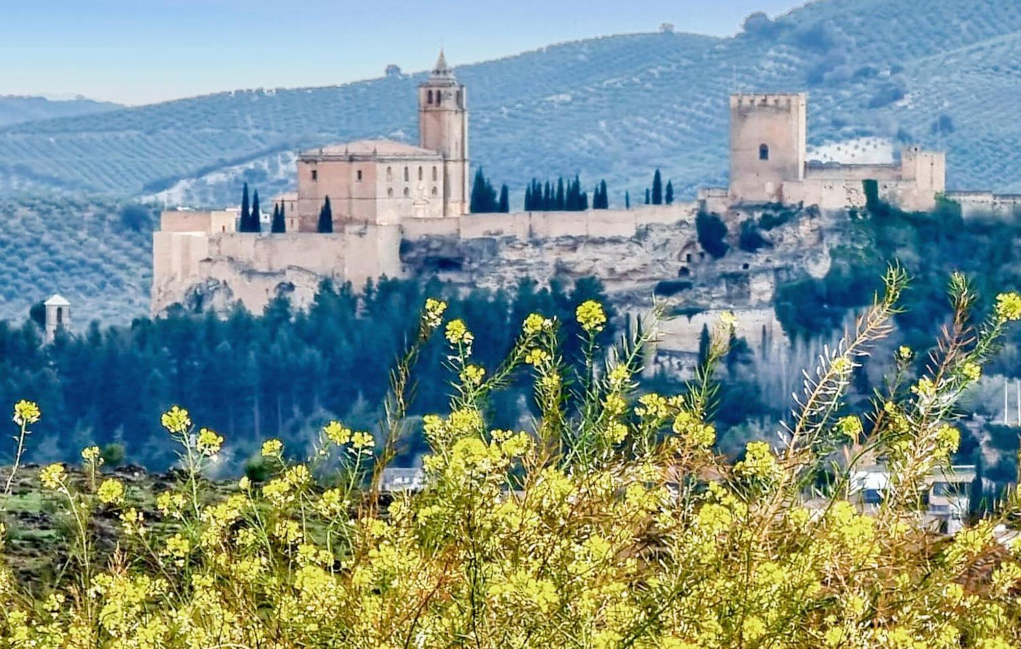 Gorgeous In Puertollano * Las Caserias