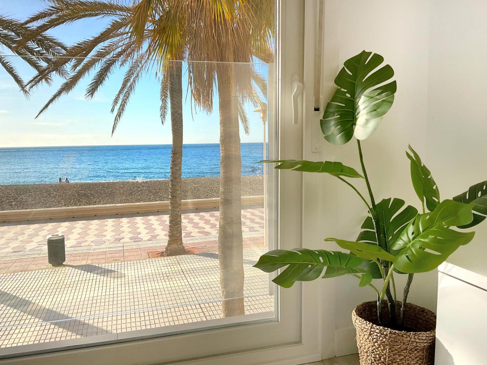 Apartment Cs7 Kaleria