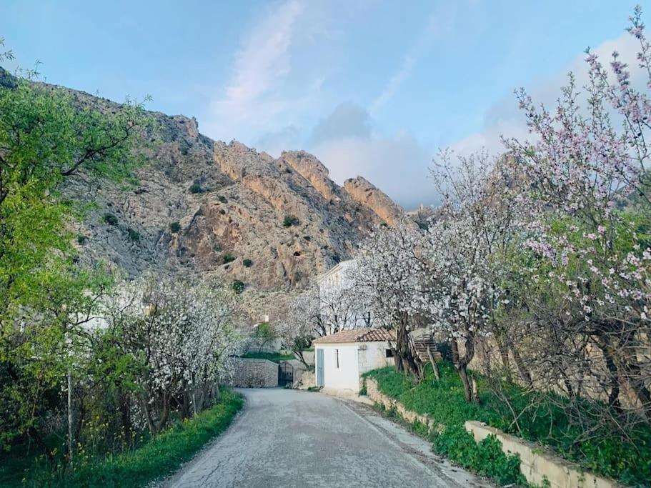 Pilon Azul Holiday home Belerda