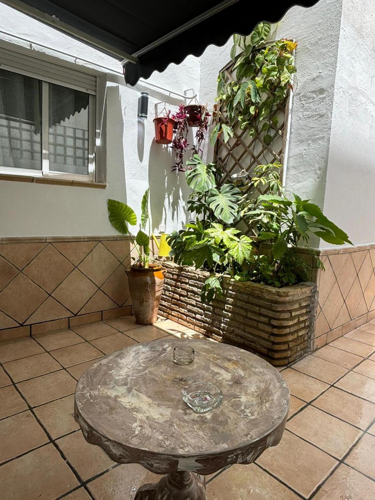 Panther Pureza Apartamento Sevilla