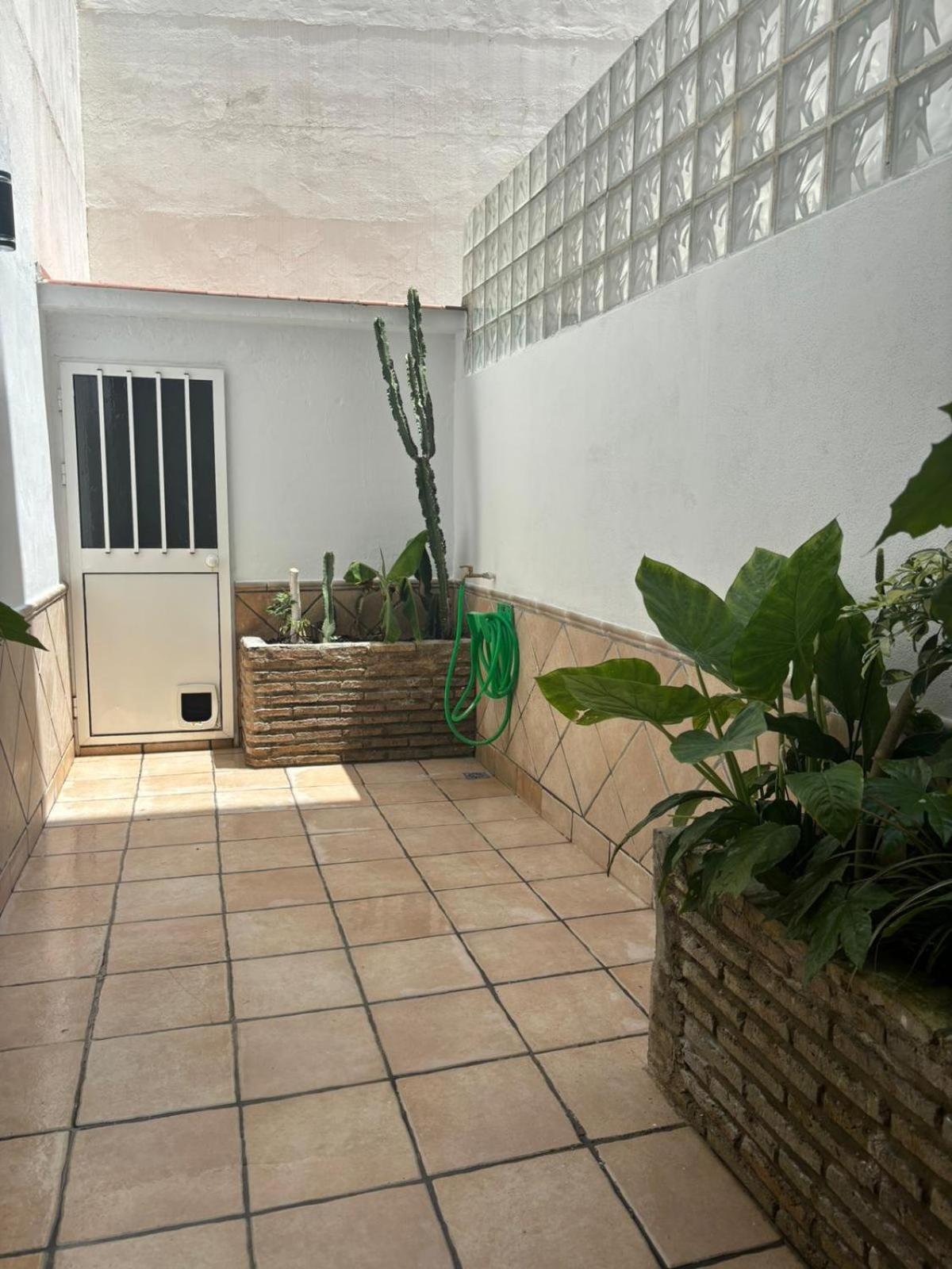 Panther Pureza Apartamento Sevilla