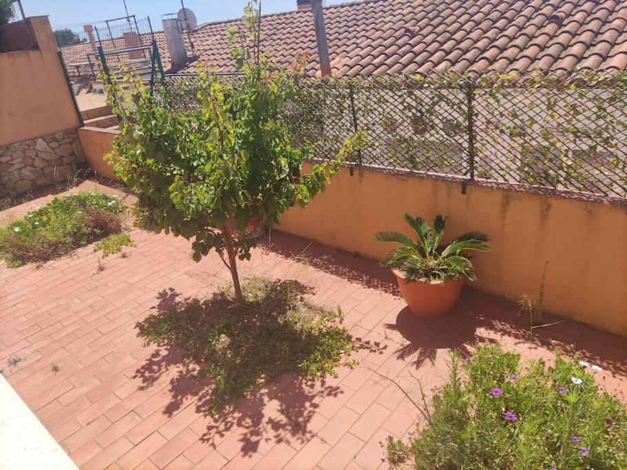 Doble Homestay Palafrugell