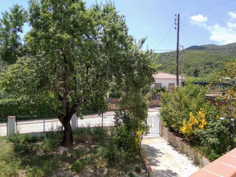 Apartment Alt Penedes, Terra De Vinya, Sol, Aigua I Muntanya *