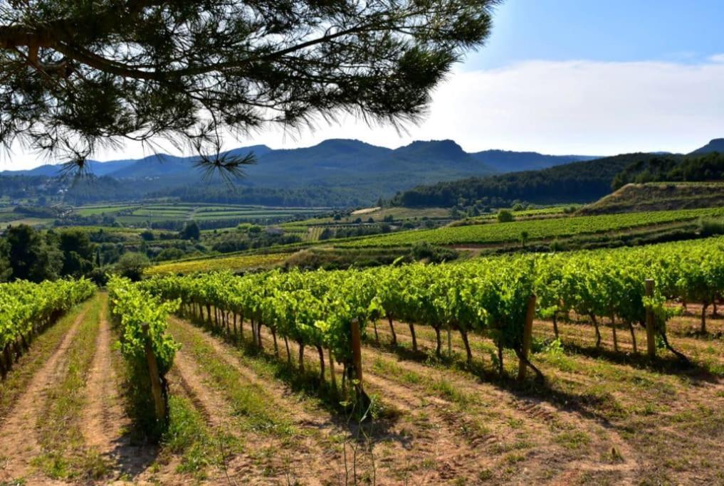 Alt Penedes, Terra De Vinya, Sol, Aigua I Muntanya * Torrellas de Foix