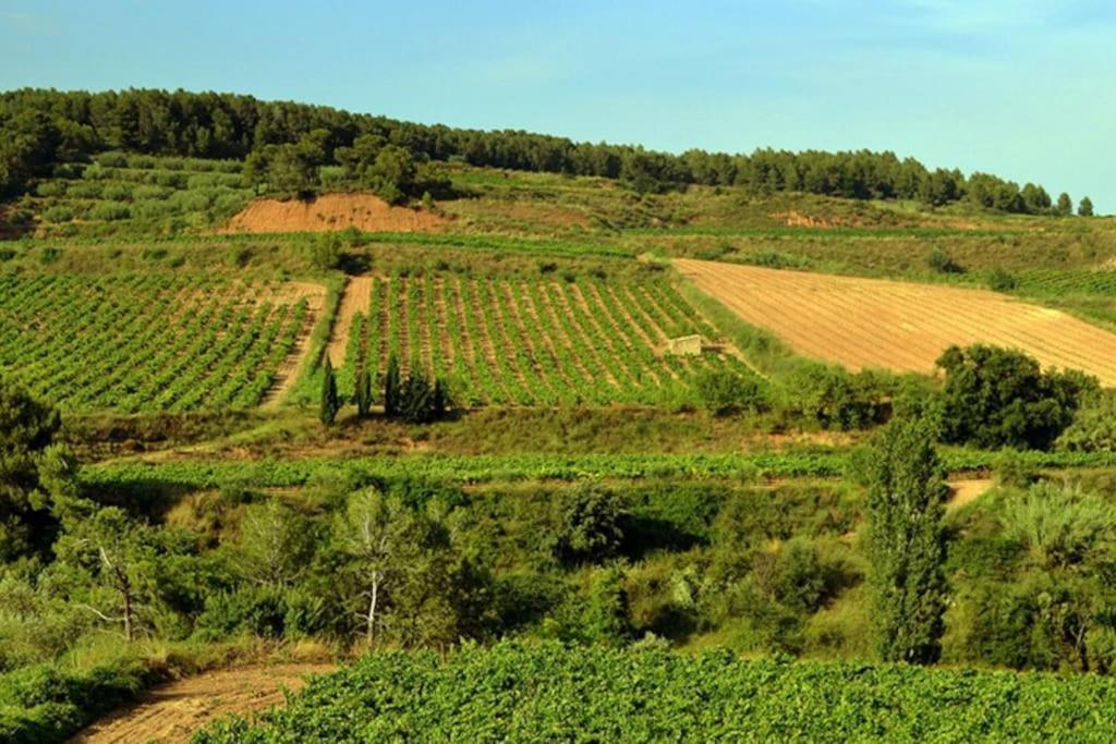 Alt Penedes, Terra De Vinya, Sol, Aigua I Muntanya *