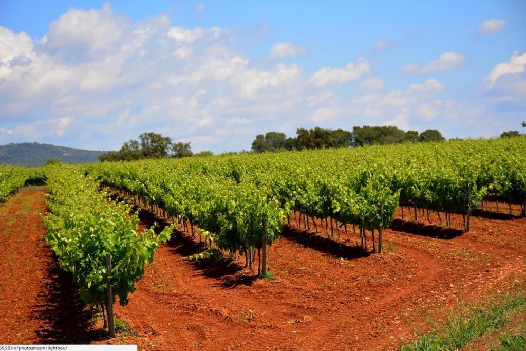 Alt Penedes, Terra De Vinya, Sol, Aigua I Muntanya * Torrellas de Foix