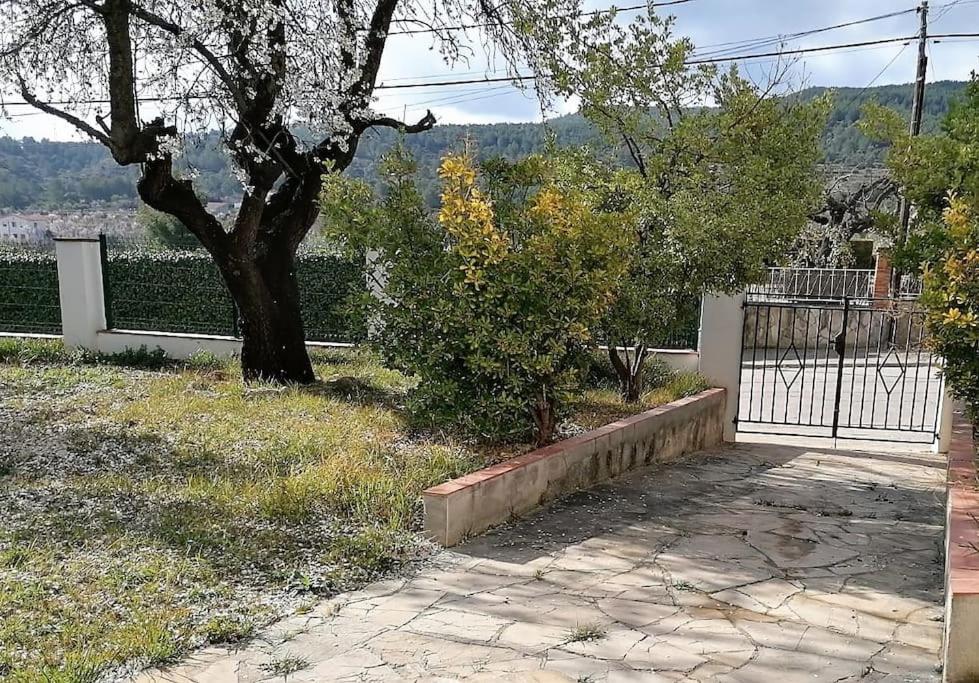 Alt Penedes, Terra De Vinya, Sol, Aigua I Muntanya Apartment Torrellas de Foix