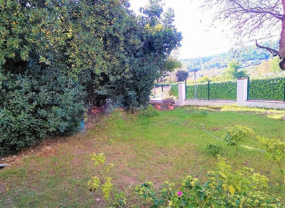 Apartment Alt Penedes, Terra De Vinya, Sol, Aigua I Muntanya Torrellas de Foix