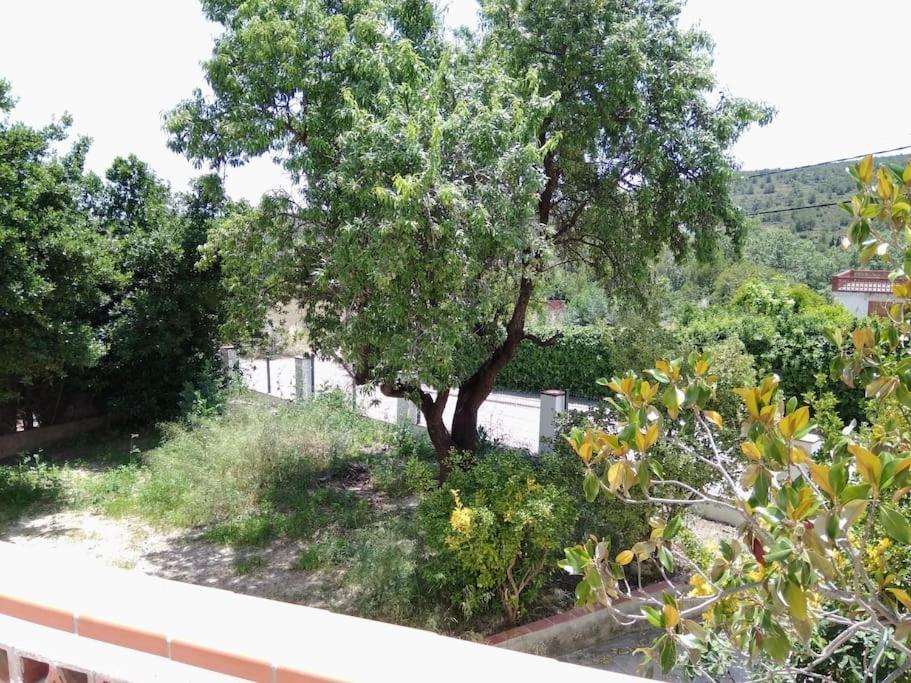 Alt Penedes, Terra De Vinya, Sol, Aigua I Muntanya *