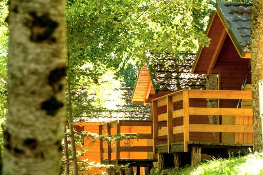 Bedura Park Camping