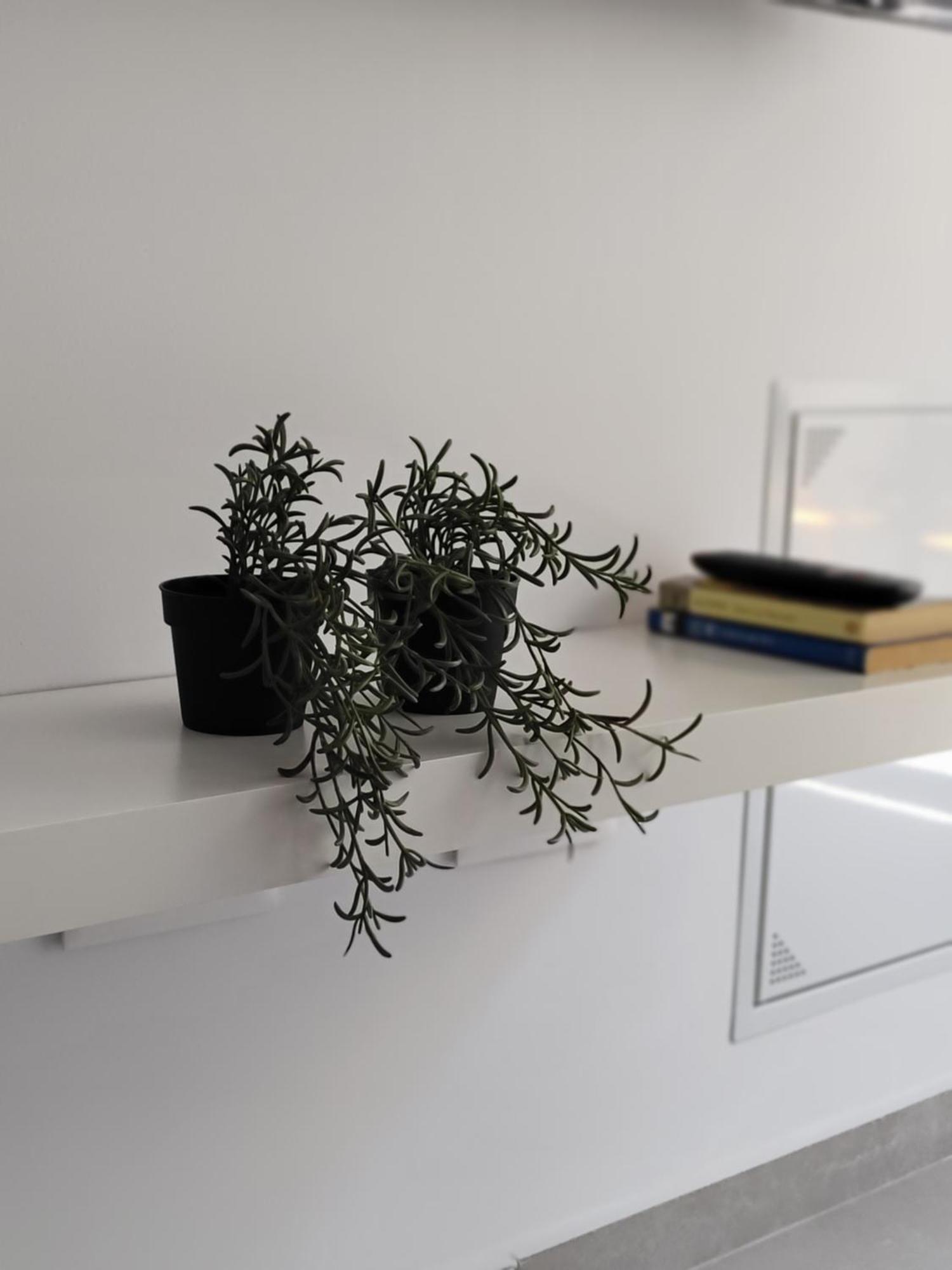 Am Chinorros Square. Apartamento *