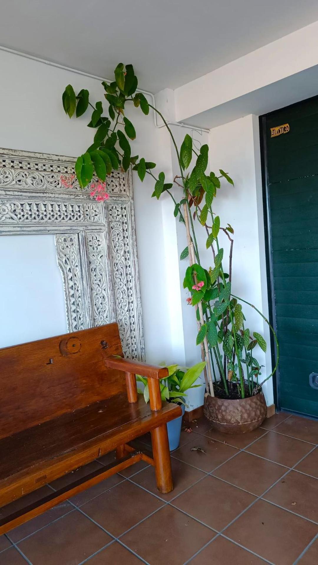 El Balcon De Rias Baixas Holiday home Cangas do Morrazo