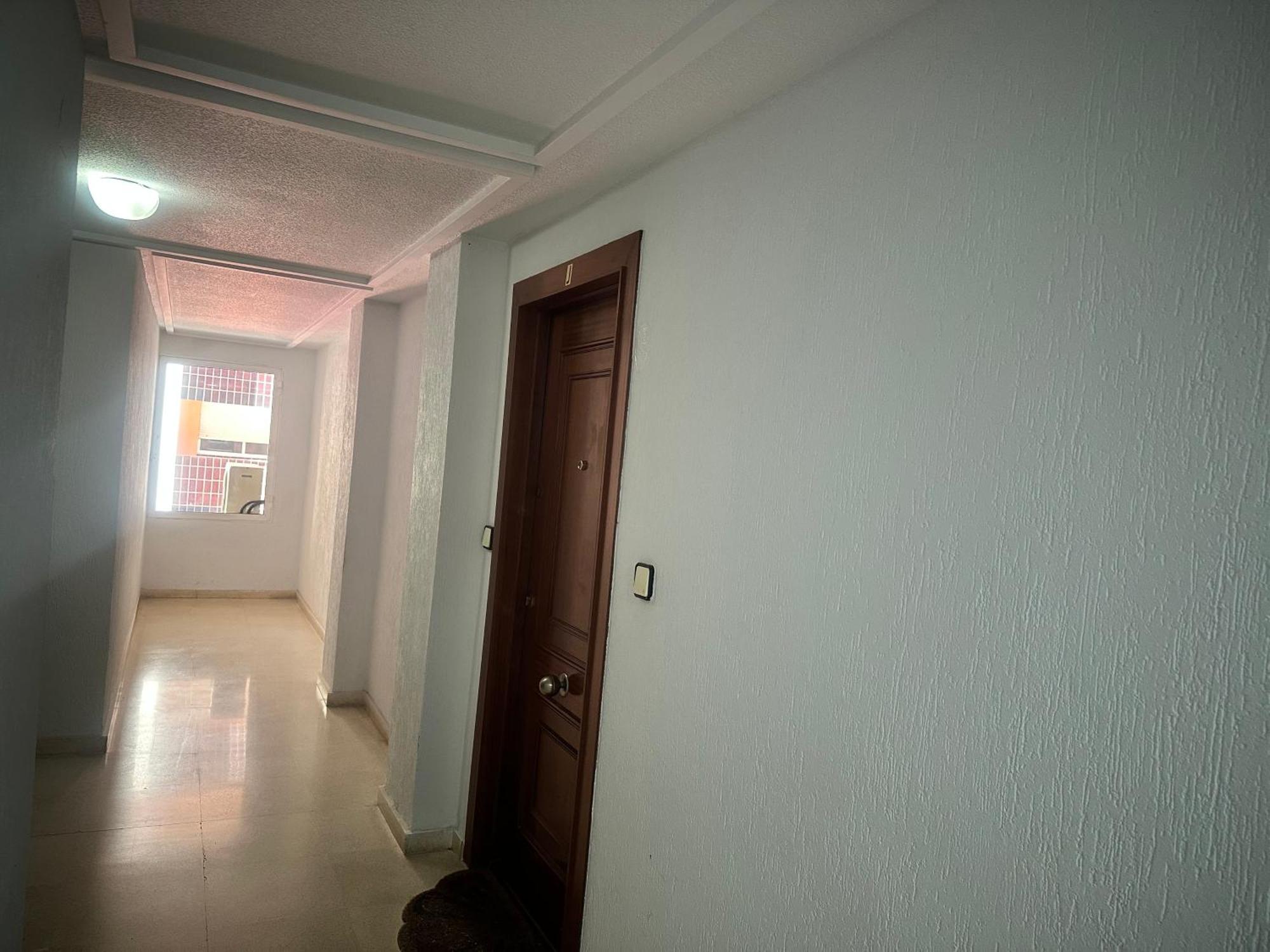 Homely Habaneras Apartamento