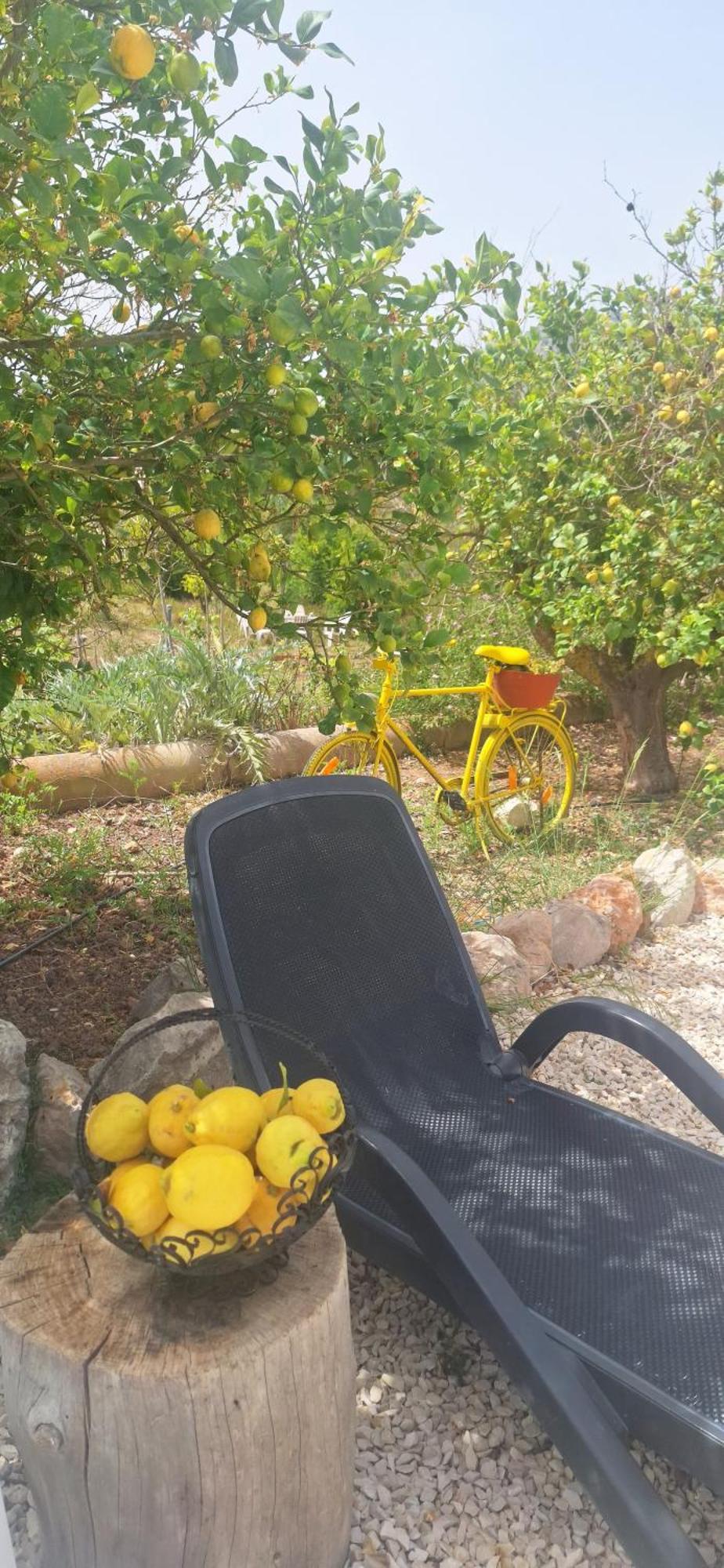 Barahona