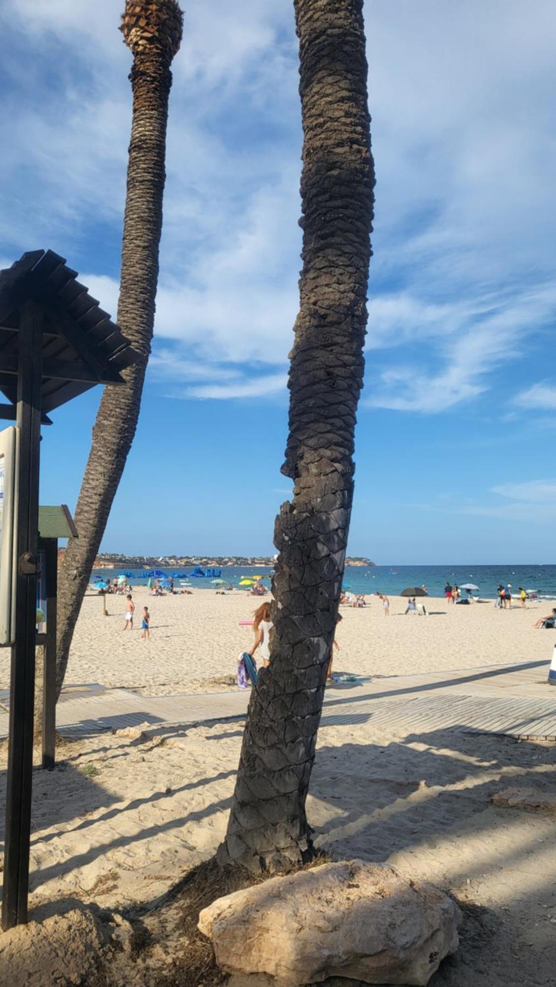 Apartment Ines, Dehesa De Campoamor,900m From The Sea , Swimming Pool & Tennis Court