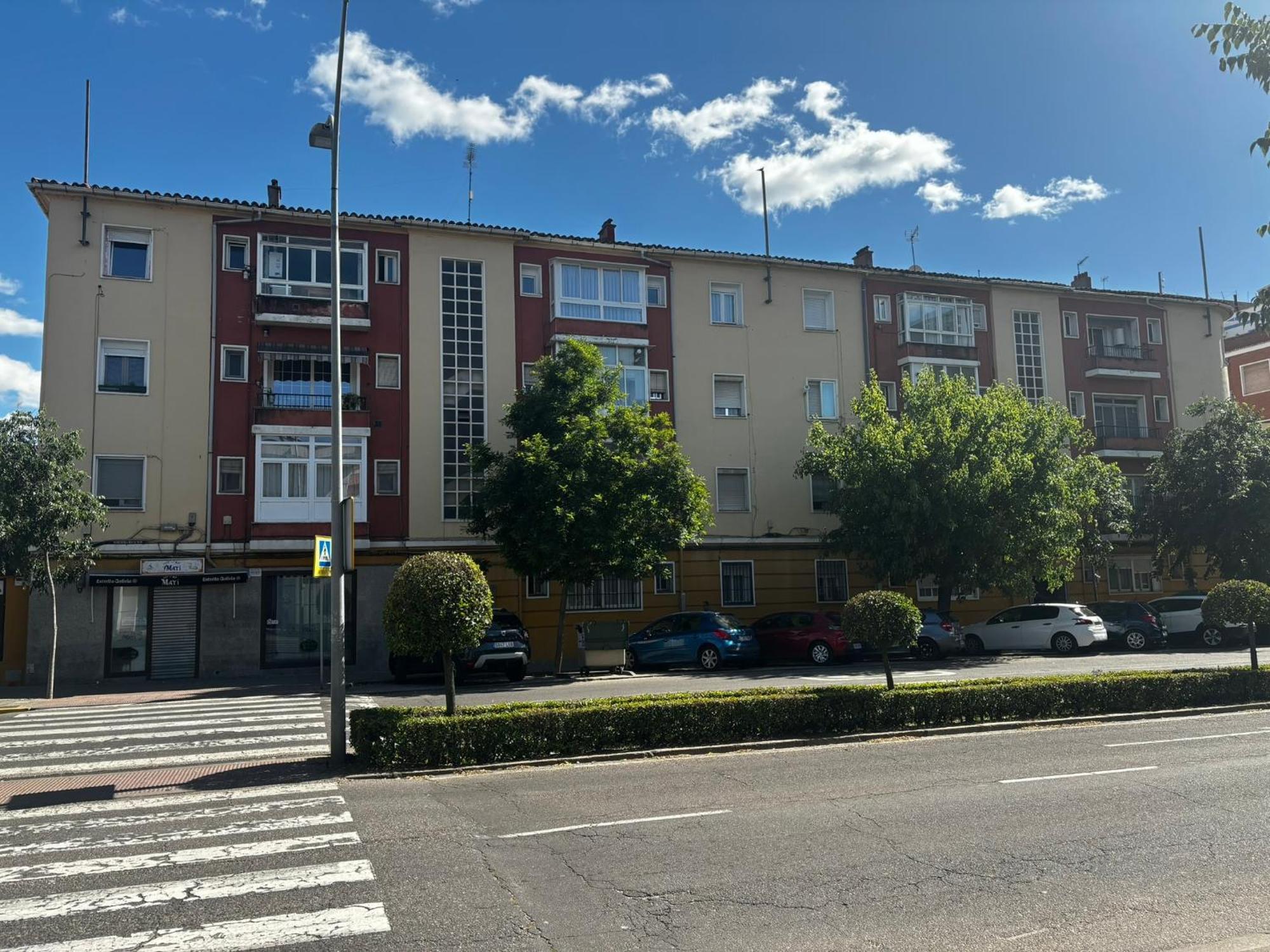 Pio Xii Xxl B *