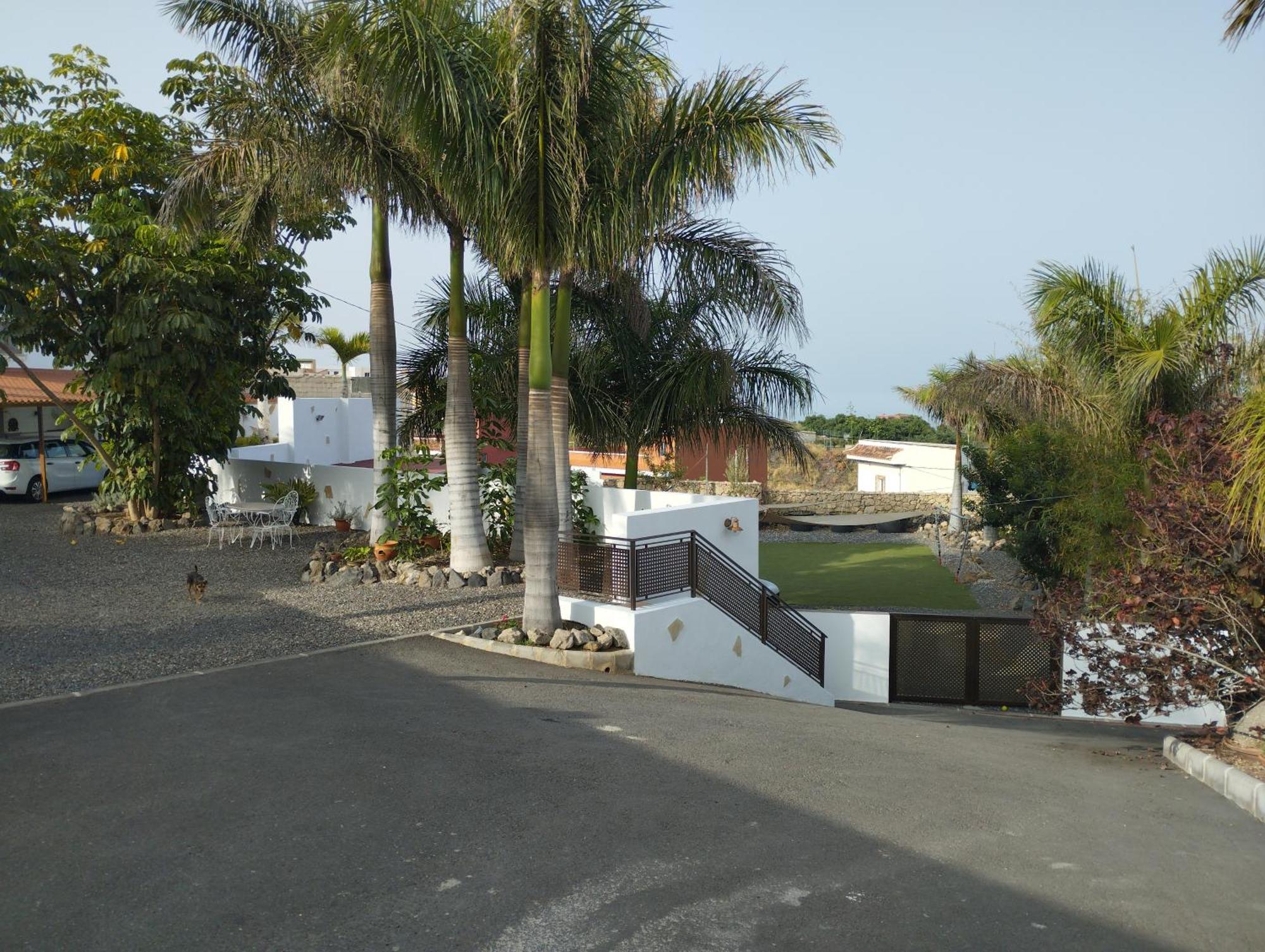 Palmeras B * Güímar