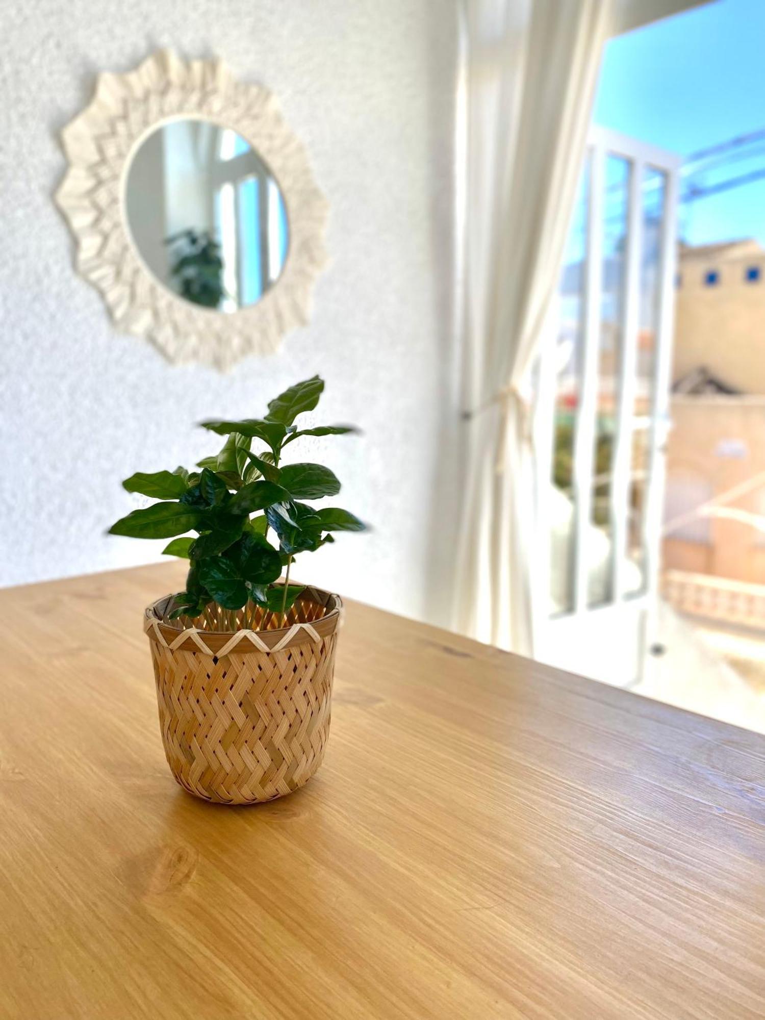 La Casita De Mamacita *