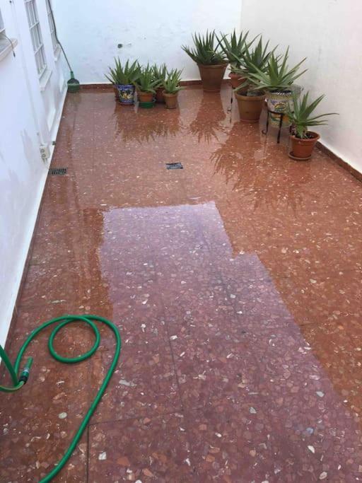 Casa Soleada En Calle Tranquila Sevilla
